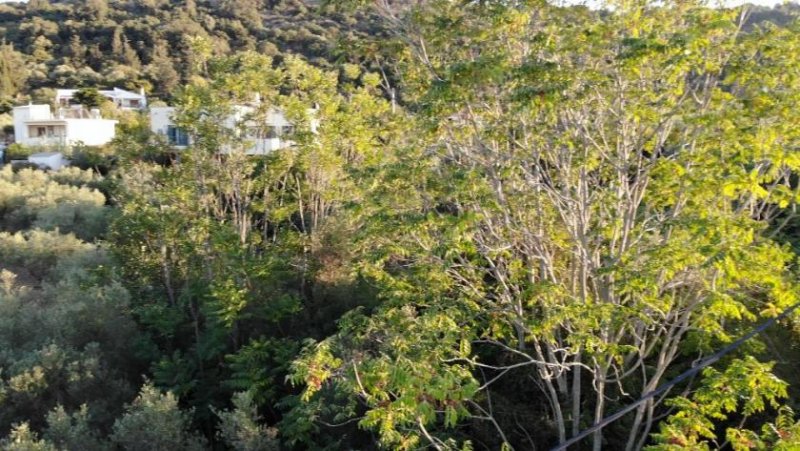 Ag. Pavlos bei Gavalochori Kreta, Ag. Pavlos: Malerisches Grundstück in der Nähe von Gavalochori zum Verkauf Grundstück kaufen